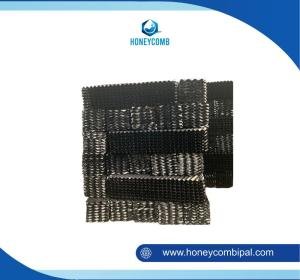 Sarang Tawon Ipal Artinya